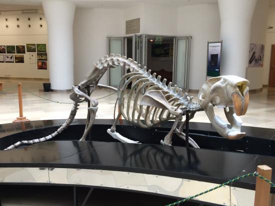 Musée hongrois des sciences naturelles